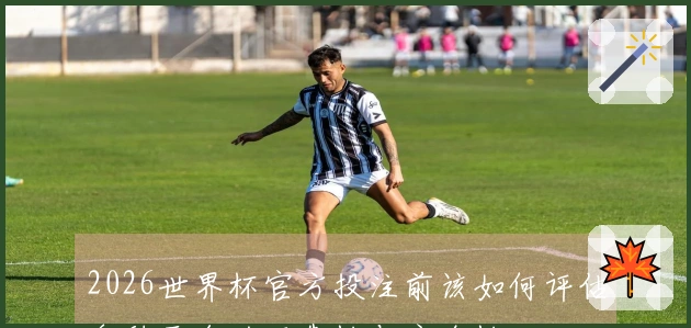 2026世界杯官方投注前该如何评估各种平台的可靠性与安全性