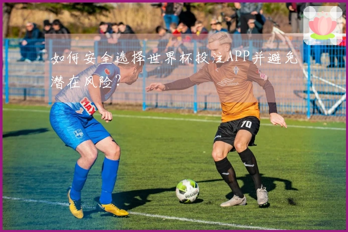 如何安全选择世界杯投注APP并避免潜在风险？