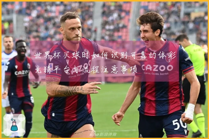 世界杯买球时如何识别可靠的体彩竞猜平台与流程注意事项