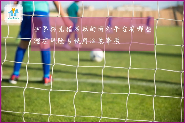 世界杯竞猜活动的海外平台有哪些潜在风险与使用注意事项
