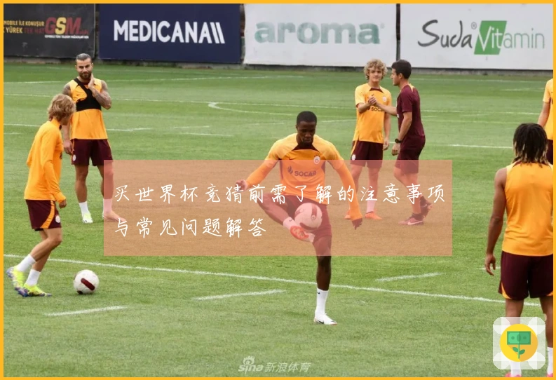 买世界杯竞猜前需了解的注意事项与常见问题解答