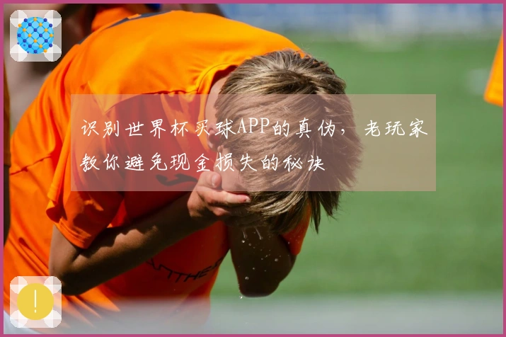 识别世界杯买球APP的真伪,老玩家教你避免现金损失的秘诀
