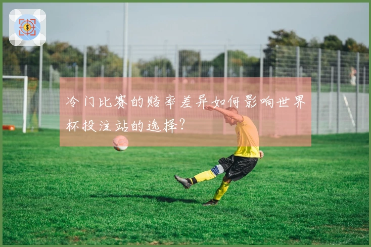 冷门比赛的赔率差异如何影响世界杯投注站的选择？