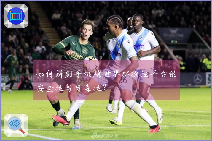 如何辨别手机端世界杯投注平台的安全性与可靠性？