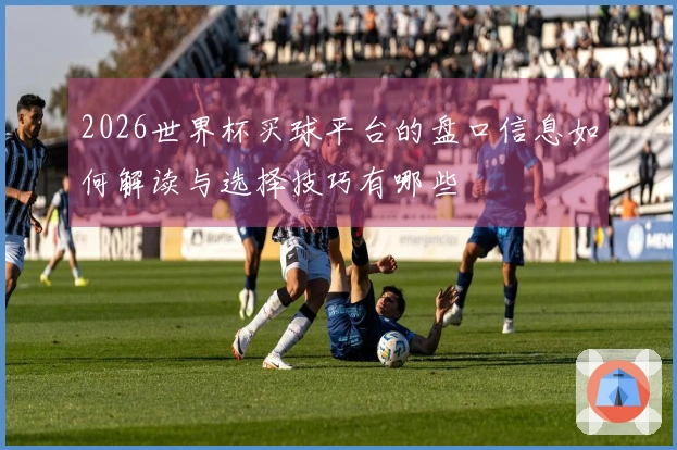2026世界杯买球平台的盘口信息如何解读与选择技巧有哪些