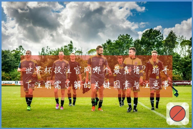 世界杯投注官网哪个最靠谱?新手下注前需了解的关键因素与注意事项