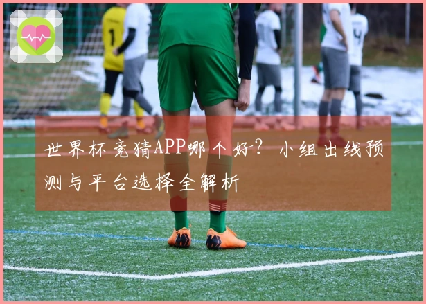 世界杯竞猜APP哪个好？小组出线预测与平台选择全解析
