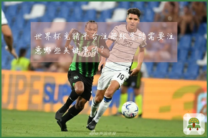 世界杯竞猜平台注册账号时需要注意哪些关键事项？