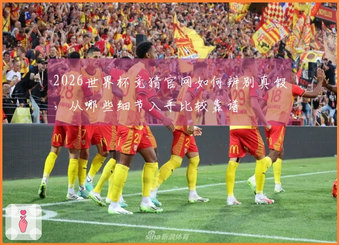 2026世界杯竞猜官网如何辨别真假，从哪些细节入手比较靠谱