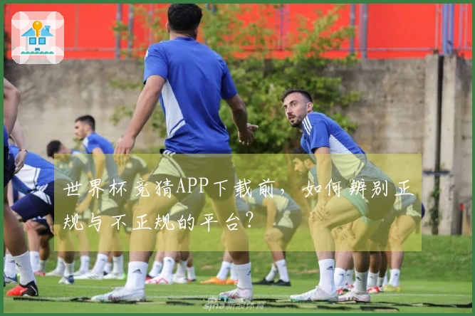 世界杯竞猜APP下载前，如何辨别正规与不正规的平台？
