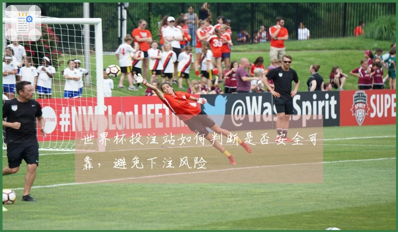 世界杯投注站如何判断是否安全可靠，避免下注风险