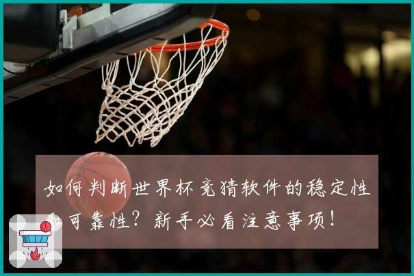如何判断世界杯竞猜软件的稳定性和可靠性？新手必看注意事项！