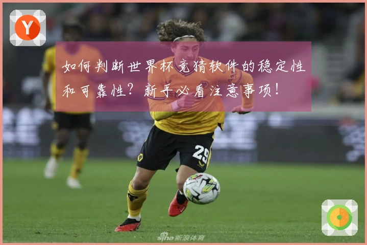 如何判断世界杯竞猜软件的稳定性和可靠性?新手必看注意事项!