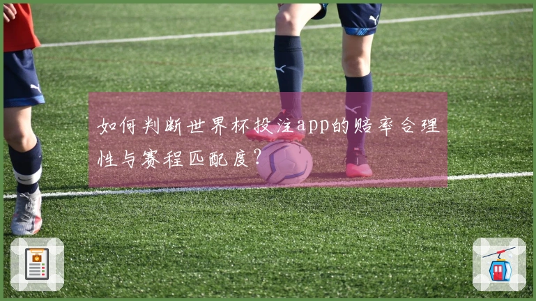 如何判断世界杯投注app的赔率合理性与赛程匹配度？