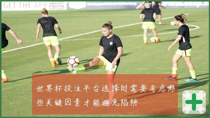 世界杯投注平台选择时需要考虑哪些关键因素才能避免陷阱