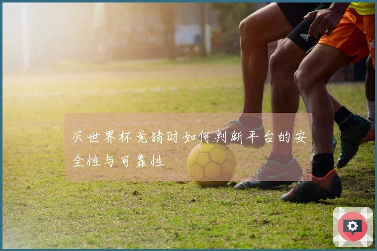 买世界杯竞猜时如何判断平台的安全性与可靠性