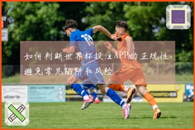 如何判断世界杯投注APP的正规性,避免常见陷阱和风险