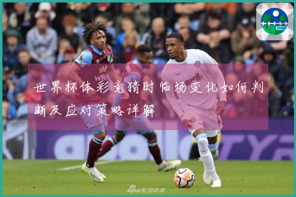 世界杯体彩竞猜时临场变化如何判断及应对策略详解