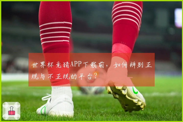 世界杯竞猜APP下载前，如何辨别正规与不正规的平台？