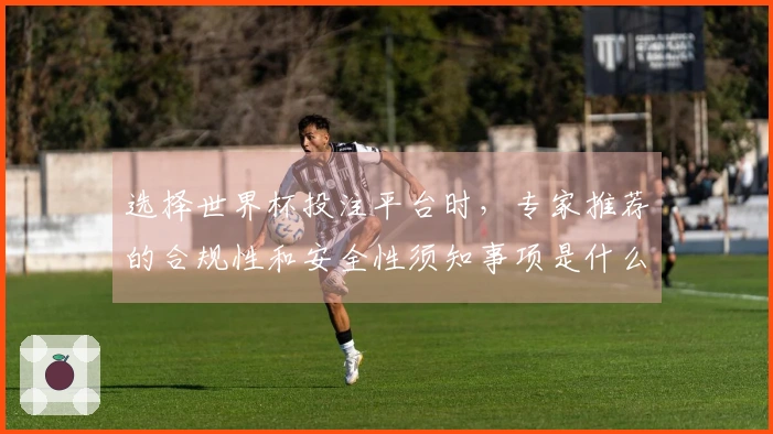 选择世界杯投注平台时，专家推荐的合规性和安全性须知事项是什么