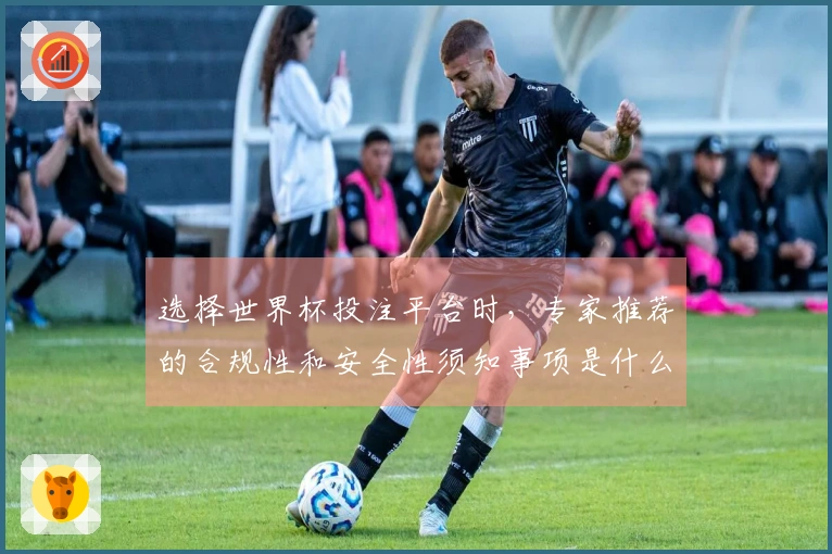 选择世界杯投注平台时，专家推荐的合规性和安全性须知事项是什么