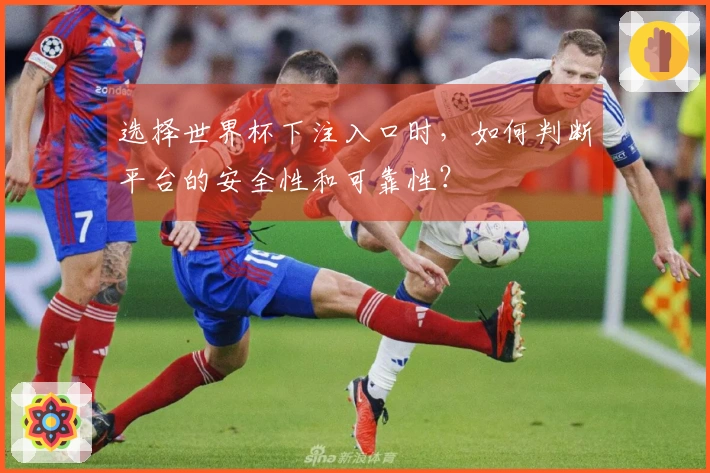 选择世界杯下注入口时，如何判断平台的安全性和可靠性？