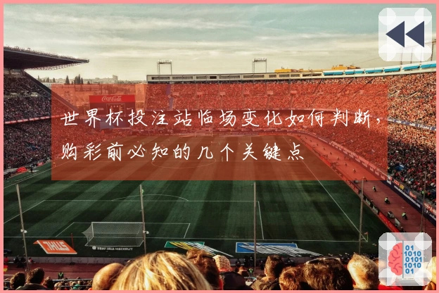 世界杯投注站临场变化如何判断，购彩前必知的几个关键点