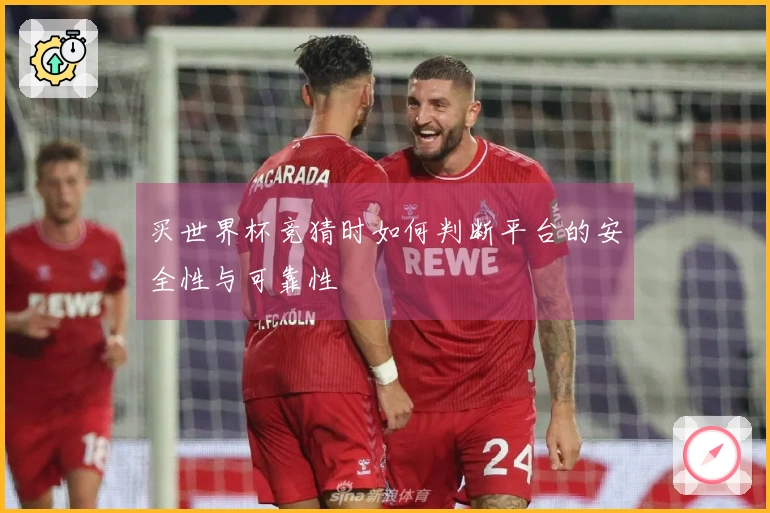 买世界杯竞猜时如何判断平台的安全性与可靠性