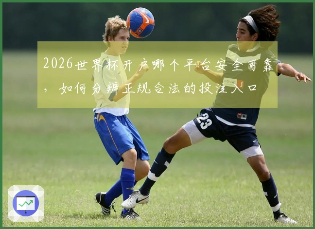 2026世界杯开户哪个平台安全可靠，如何分辨正规合法的投注入口
