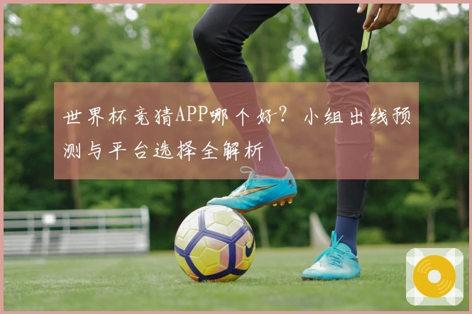 世界杯竞猜APP哪个好？小组出线预测与平台选择全解析
